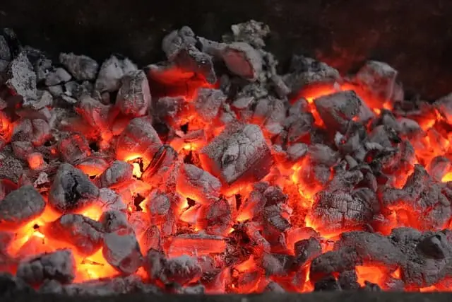 Brasas de carbón de leña de encina