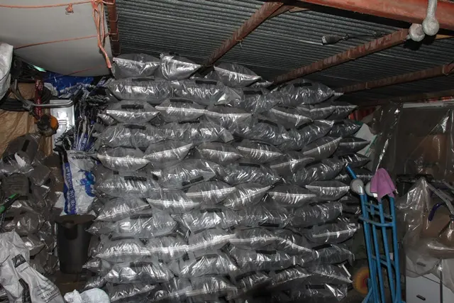 Carbón premium para hostelería