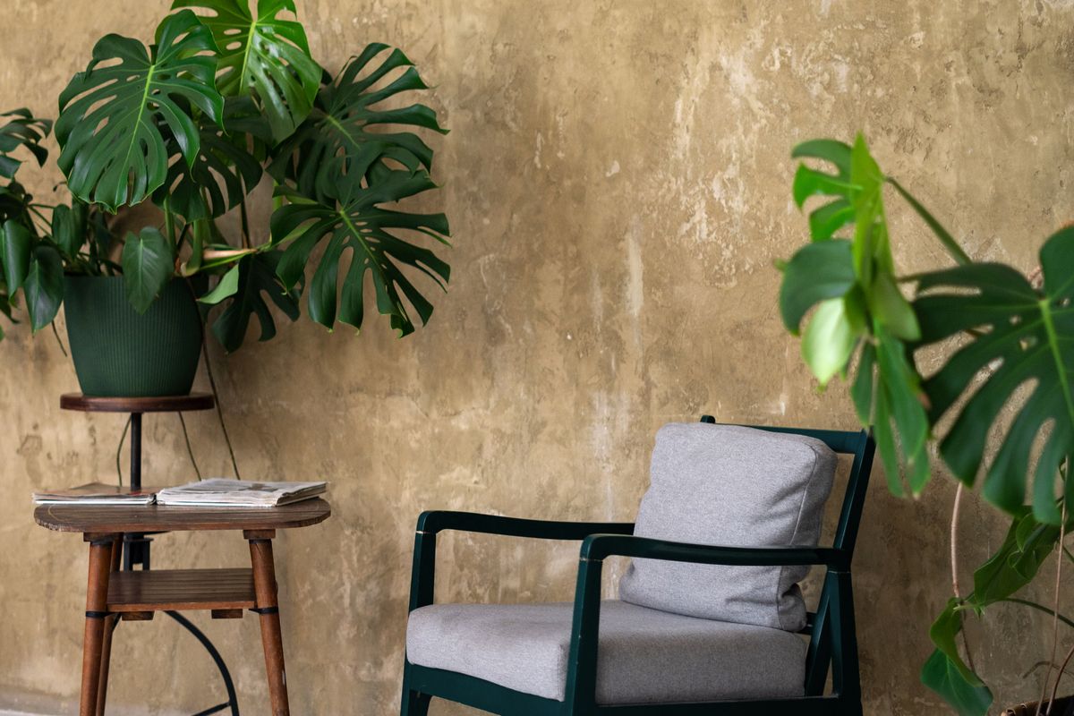 Butaca gris junto a una pared ocre, con una monstera en maceta y una mesita de madera