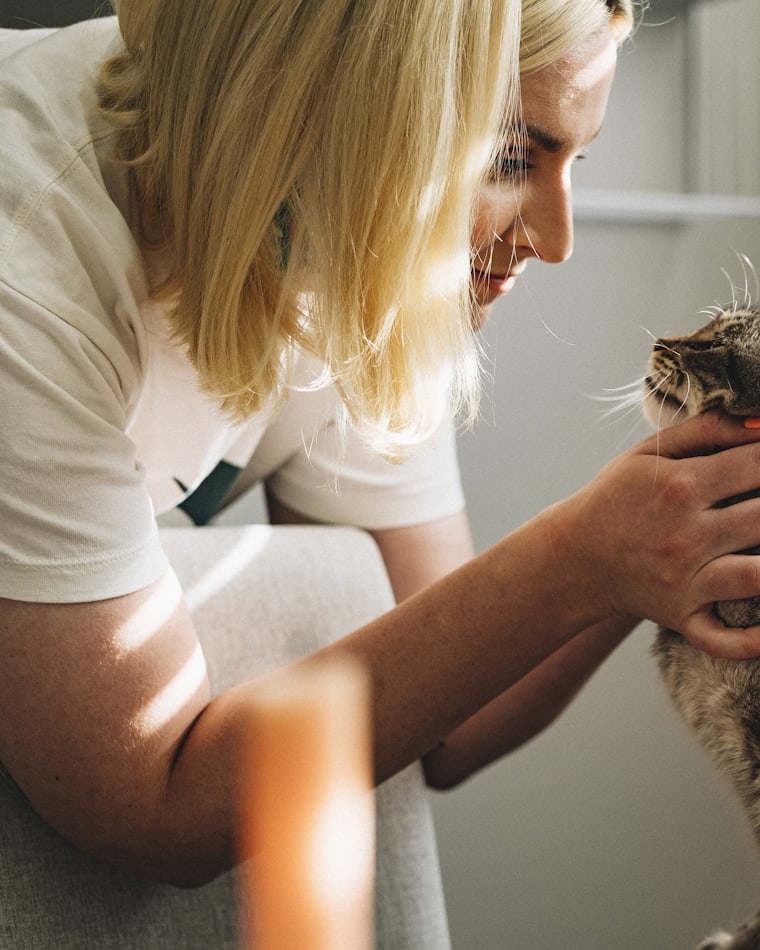 Veterinaria sujetando con cuidado a un gato atigrado durante una revisión